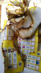 Mascarade électorale en Centrafrique: Quand les membres de la CCT subissent des pressions