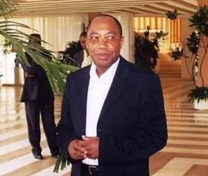 AFFAIRE BOKO HARAM: UN EXPERT CENTRAFRICAIN ENFIN DISPONIBLE