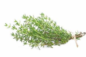 Sirop de thym contre la toux