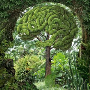 une sorte de cervelle sylvestre par Igor Morski