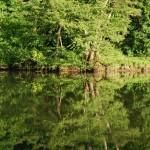 Berges du Lot...