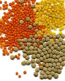 Les bonnes recettes des Colibris : " Les bouchées de lentilles corail à l'indienne."