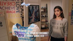 L'invisibilité du sens figuré