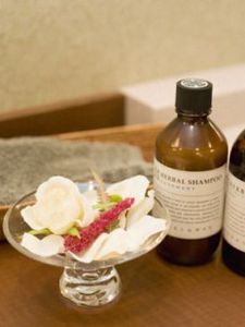 Aromatherapy Oils - Eucalyptus Essential Oil