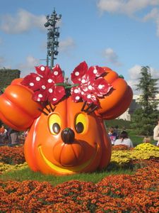 Sortie à Disney et astuces de maratre
