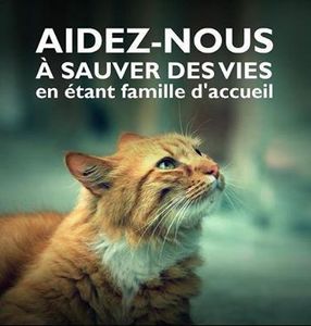 Devenez Famille d ' Accueil