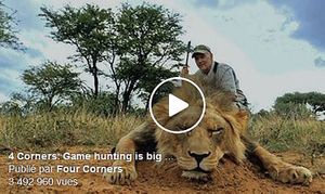 Le safari de la honte: un business morbide qui rapporte gros. Vidéo