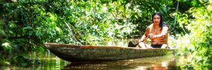 Amérique du sud. Une tribu amazonienne crée une encyclopédie de médecine traditionnelle