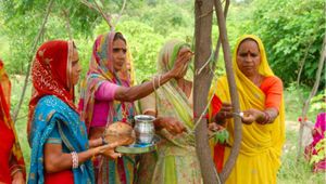 Inde. Planter des arbres pour combattre la discrimination des femmes en Inde