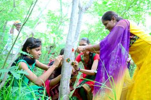 Inde. Planter des arbres pour combattre la discrimination des femmes en Inde