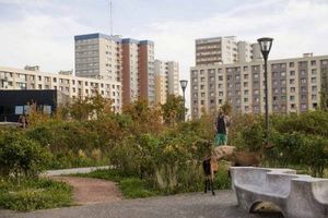 France. Quand un berger et ses chèvres réenchantent Paris et sa banlieue. Vidéo 10 minutes.