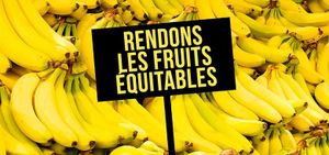 LiDL : des fruits moins chers mais au prix de vies humaines