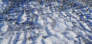 Russie - Sibérie : des rennes décimés par une épidémie d'anthrax, toute une région en quarantaine.