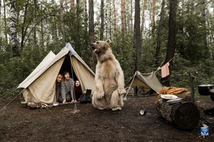 Russie. L’ours Stepan joue les modèles pour la photographe russe Olga Barantseva.