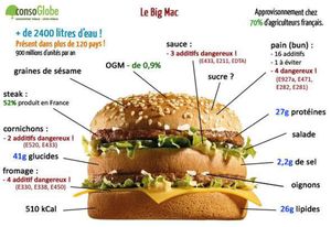 France, Europe, Usa. Voici ce qu’il y a réellement à l’intérieur d’un hamburger McDonald. 2 vidéos.