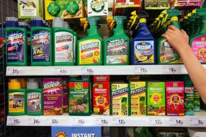 Europe. Italie : un décret interdit la vente de 85 produits contenant du glyphosate.