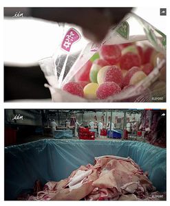 Belgique. Réalisé par Par Pauline Tissot : Du cochon au bonbon : les secrets de fabrication d'une sucrerie. Vidéo choc de 1 minute 40.