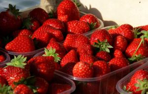 Bienfaits de la fraise
