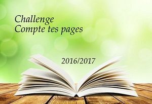 Challenge Compte tes pages