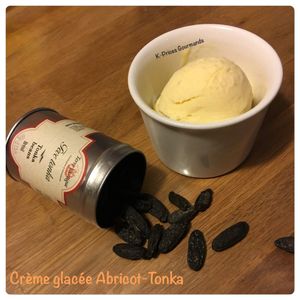 Crème Glacée Abricot-Tonka