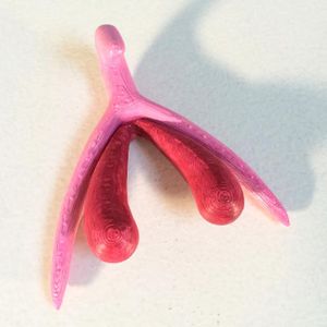 Impression 3D d'un clitoris