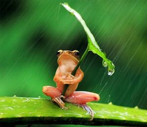 Bị mẻ răng cửa có sao không, mơ thấy bị mẻ răng là điềm báo gì ?