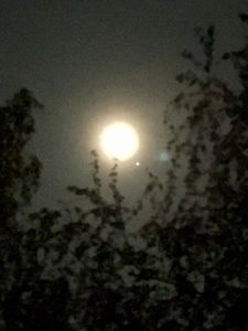 Astronomie
