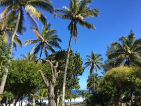 Balade à Grand-Anse