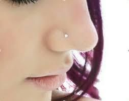 septum piercing ont septum piercing ont