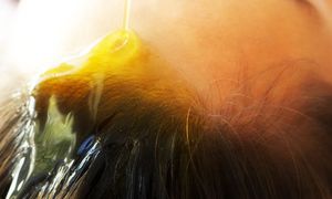 Argan Oil for Hair