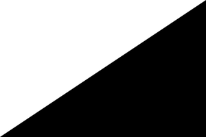 Bandiera bianco-nera spesso associata all'anarco-pacifismo