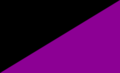 Bandiera Fucsia-Nera dell'anarco-femminismo.