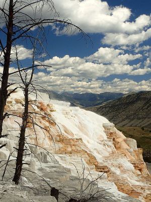 Yellowstone