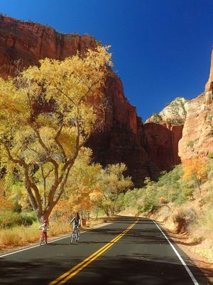 Zion