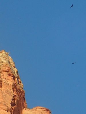 Zion