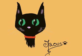 black cat