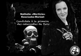 Présente-toi à la primaire UMP de Paris