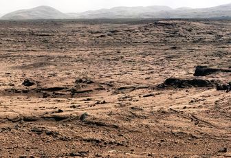 Un lézard sur Mars ?