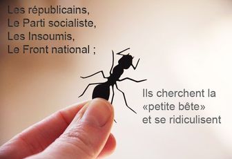 Les perdants des élections cherchent la petite bête
