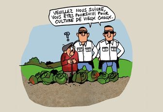 Réforme européenne : les députés européens préparent une nouvelle réglementation pour les semences.
