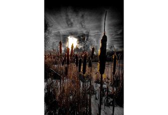 Le jeu, 2. J'ai vu les hommes noirs debout dans le bayou... Jamadrou