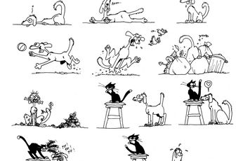 Comme chien et chat