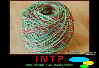 Portrait de l'INTP - Le Penseur