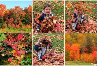 52 photos, thèmes "Automne, feuilles, vêtements, balades."