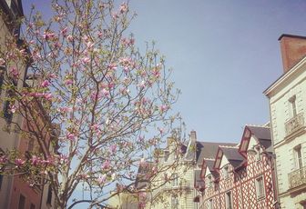 L'appel du printemps