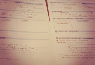 Résultats des analyses #1
