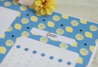 Calendrier juin 2015 {printable}