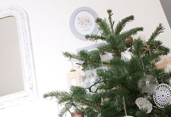 Le petit sapin qui va bien