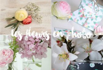 les fleurs en photo {billet printanier}