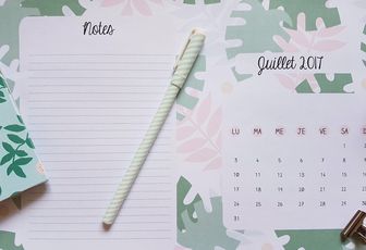 Calendrier de juillet 2017 à imprimer